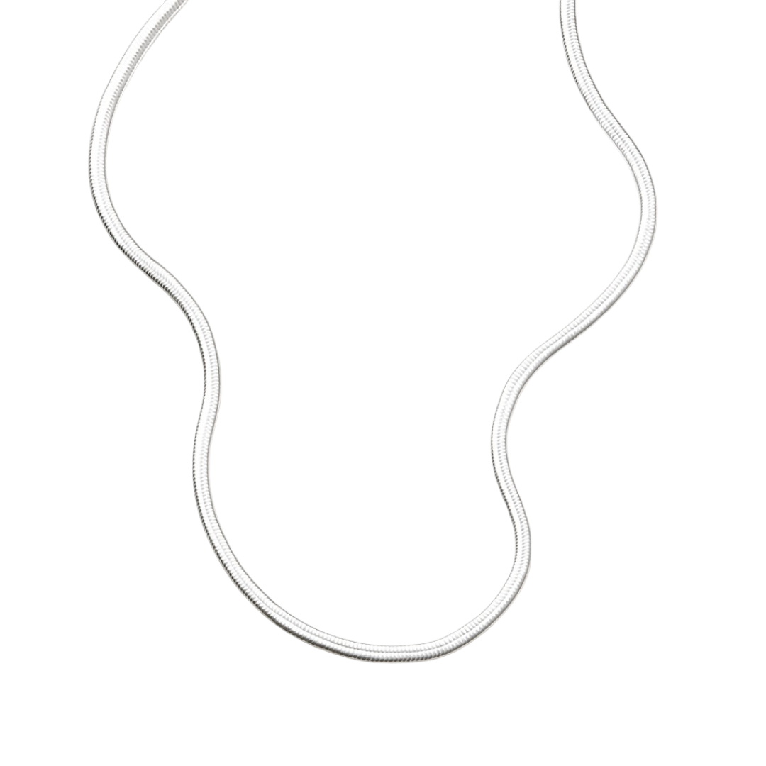 Flat Snake Bone Necklace