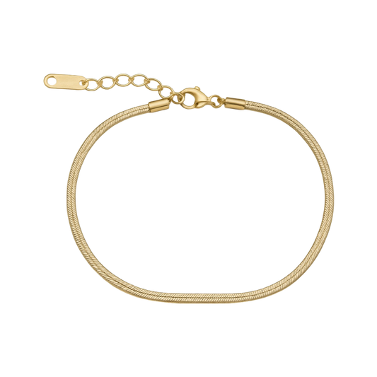Flat Snake Bone Bracelet