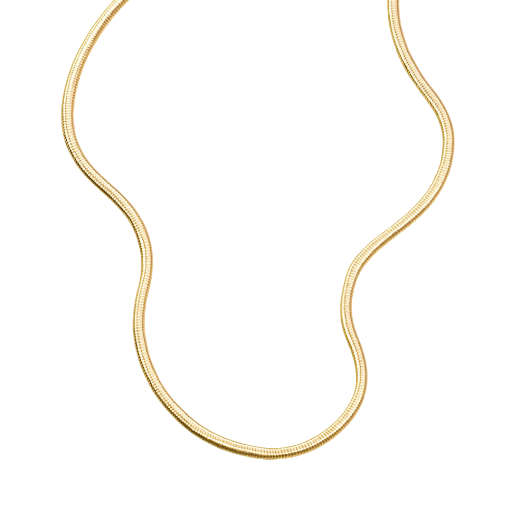 Flat Snake Bone Necklace