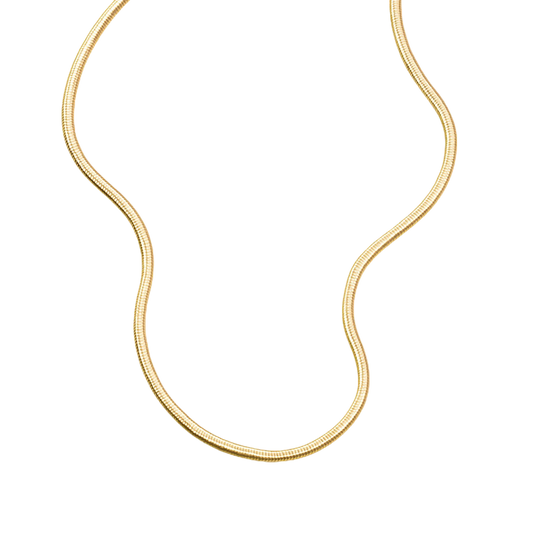 Flat Snake Bone Necklace