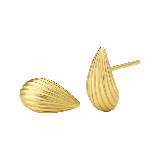 Mussel Earrings