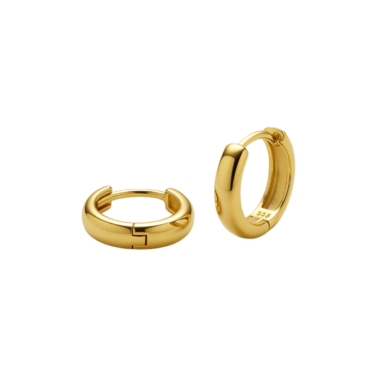 Small Hoop Earrings